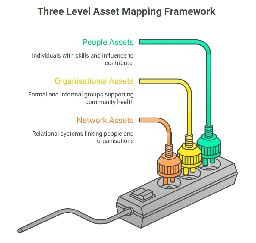 A diagram of three electrical plugs (people, organisational and network assets) drawing power from one shared socket representing the community.